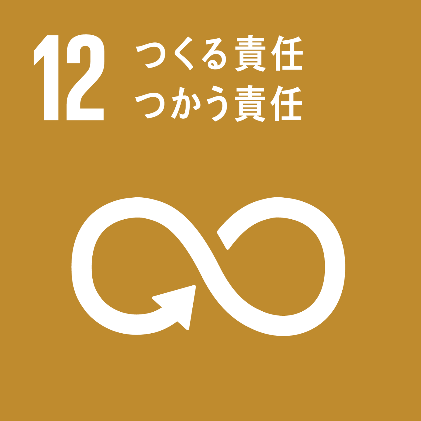SDG 12