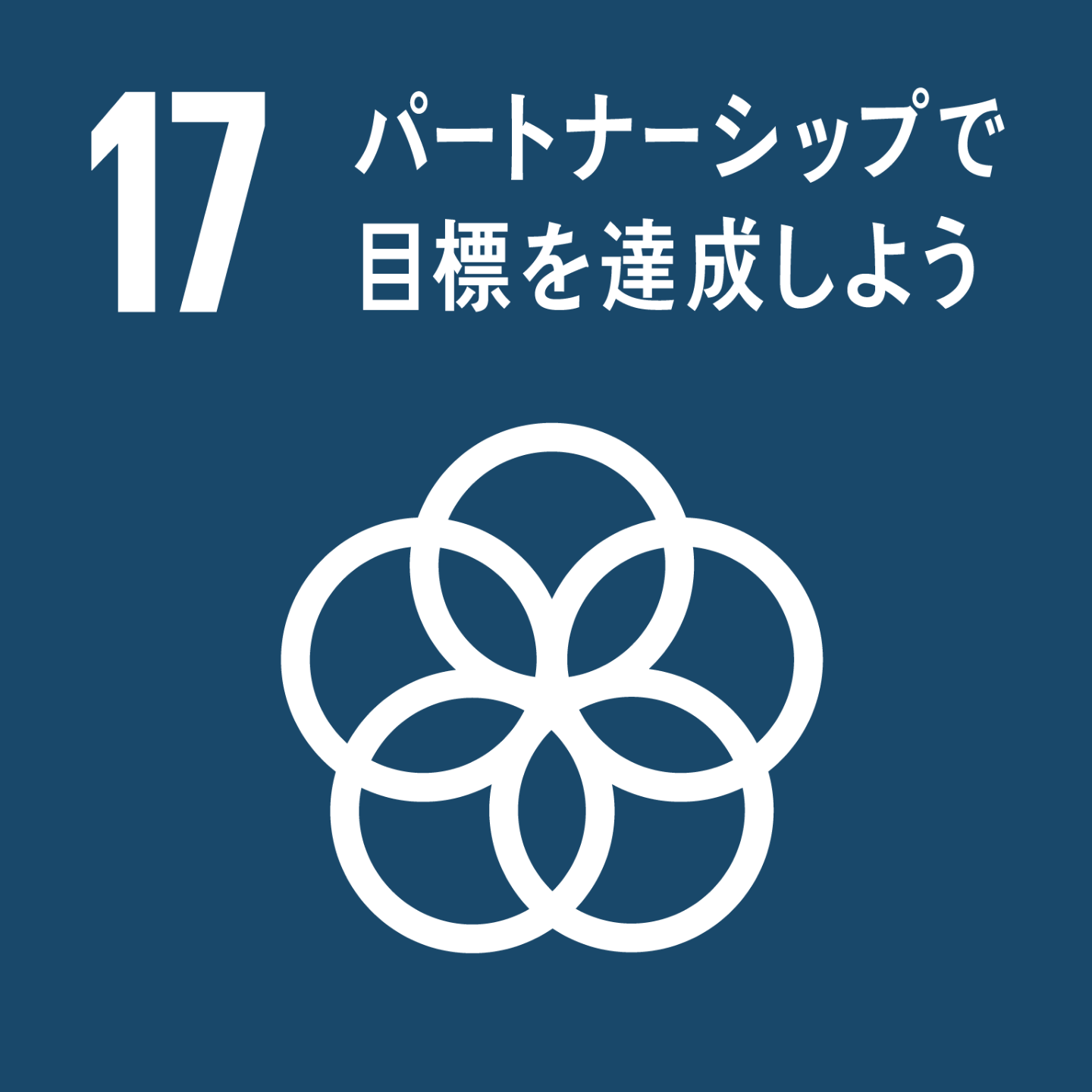 SDG 17
