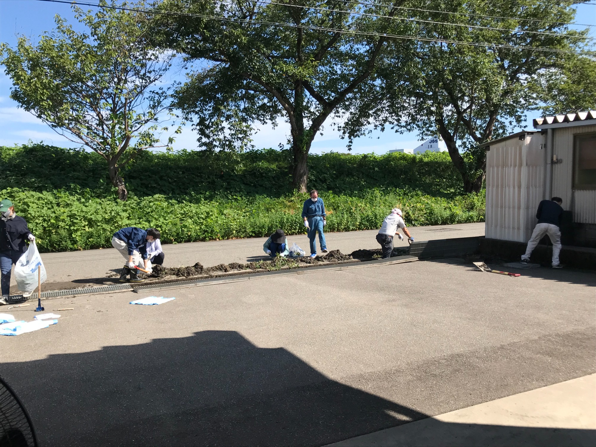 草刈り&溝掃除活動
